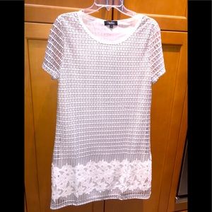 Papillon short mesh overlay embroidered shift